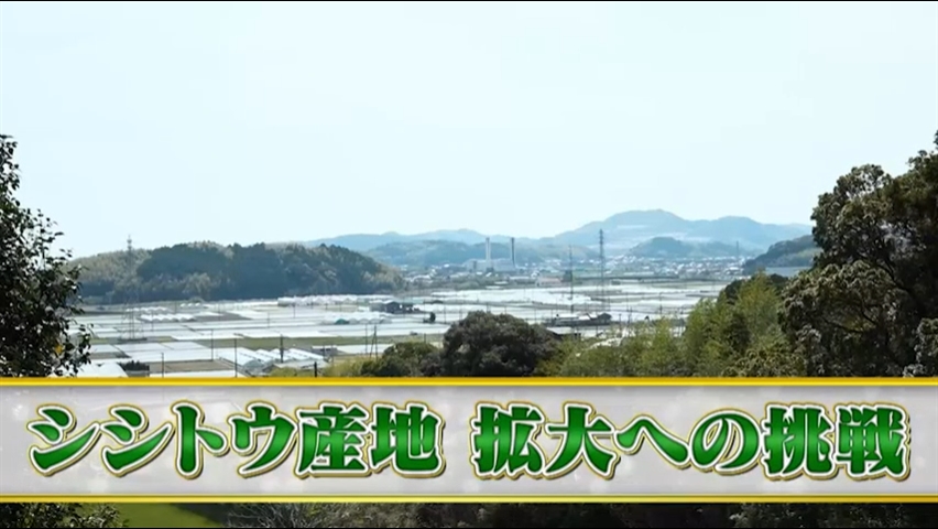 農林中央金庫ライブラリ：農林中央金庫
